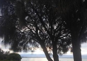 Cottage By The Bay ---Quick Response 24/7