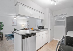 Cozy 1 Bedroom Apt in Highland Austin 3372