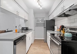 Cozy 1 Bedroom Apt in Highland Austin 3372