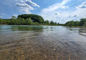 Cozy 1 bedroom near Current River