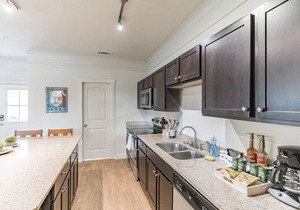 Cozy and Comfortable 3BD San Marcos Vector Suite