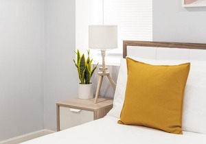 Cozy and Comfy 1BR Apartment in Logan Square!