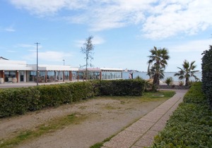 Cozy apartment with terrace and pets allowed in Balaruc-les-Bains