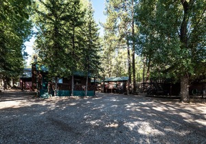 Cozy Bear 6, 1 Bedroom, Fireplace, Midtown, Sleeps 4