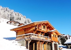 Cozy chalet for 6 in Les Gets, with terrace