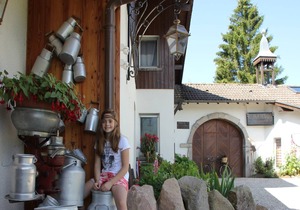Cozy chalet with a dishwasher, in the High Vosges
