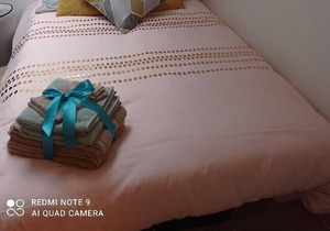 Cozy Du Moulin Appt⭐️100m place Ducale⭐️wifi / Netflix