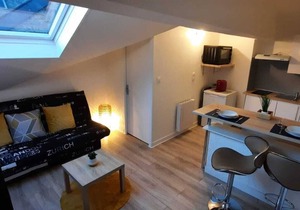 Cozy Du Moulin Appt⭐️100m place Ducale⭐️wifi / Netflix