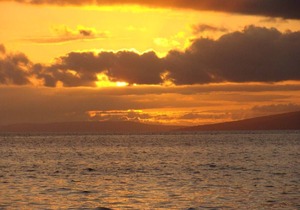 Cozy Maui Condo Near Kaanapali with Beach Park in Front of Complex! 2 Bedrooms!