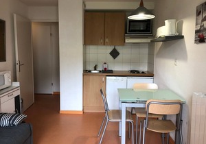 Cozy studio in Peyresourde near slopes with balcony