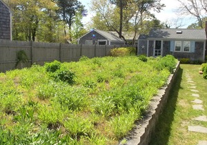 Cozy two bedroom cottage- Only .2 miles to Hagis Beach