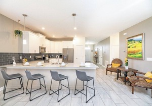 Dazzing 9BR/Pool/Spa/Free Waterpark (9030SD)