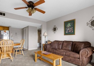 Deer Ridge D201 | Fireplace, Balcony, Resort Pool
