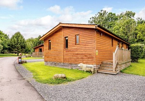 Deluxe lodge designed with luxury in mind.