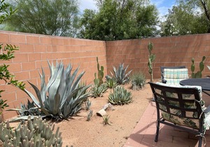 Desert Morada Casita B 2Bed/2Bath Dog Allowed max 2