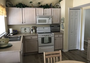 Disney Area Vacation Home with south facing salt water Pool, 15 mins. to Disney