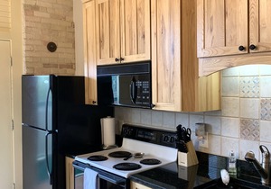 Downtown Harbor Condo! Grand Haven, MI