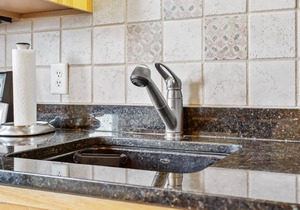 Downtown Harbor Condo! Grand Haven, MI