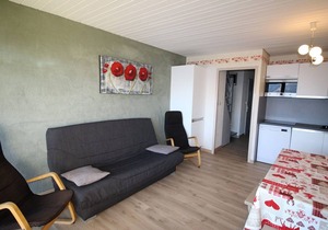 Duplex 2-bed cabin at the foot of the slopes with balconies - Auris en Oisans