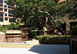 Eagle's Nest Beach Resort. Gorgeous Two bedroom. Reserve Now!