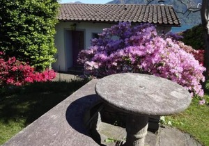 Eco-House P pool garden splendid lake view