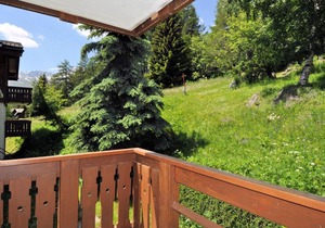 Edelweiss B 213