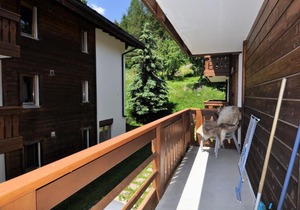 Edelweiss C 331