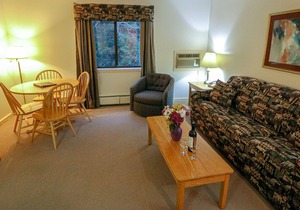 Efficiency with Sleeper Sofa only 120