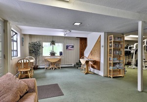 Efficiency with Sleeper Sofa only 220