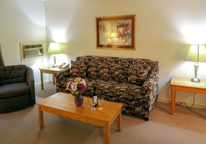 Efficiency with Sleeper Sofa only 220