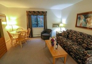 Efficiency with Sleeper Sofa only 214