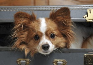 Ei8ht Brighton Apartments