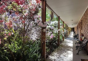 Eildon Parkview Motor Inn - Room 4.