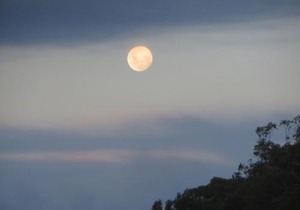 Eildon Parkview Motor Inn Room 5