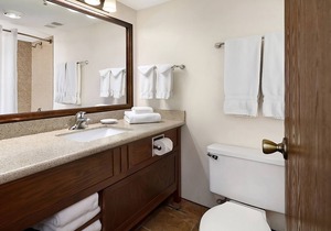 Enjoy the Convenient Airport Shuttle, Indoor Pool, Onsite Bar & Restaurant