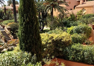 Exceptional location on the port of Porquerolles 20 m from the water .