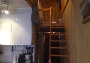 F3 apartment with balcony, 2 loft bedrooms, wifi, pets allowed, Mont-Dore