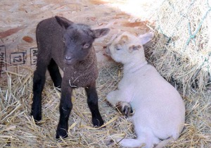 Farmhouse ∙ 2 bedrooms ∙ 4 guests