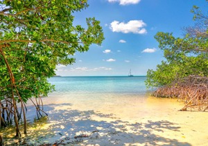 Fiesta Key RV Resort Waterfront Cottage 40