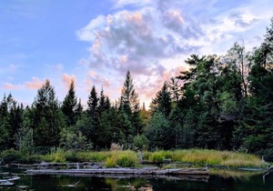 Finley's Riverside Cabins | Cabin #D