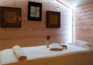 Fitness, swimming pool, sauna, hammam, terrace, balcony, parking, tv, ski locker, 48m²
