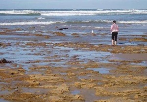 Five Minutes Strolling