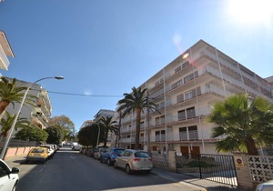 FLANDRIA 8