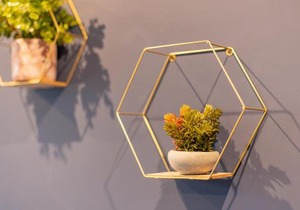 FLASH SALE Central Hove 1 Bedroom BN32OSM12