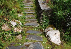 Frogapits Cottage, Boscastle
