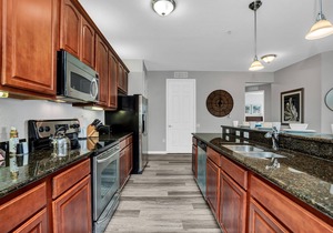 Fully Renovated Condo w/Lakeview! *Near I-Drive and Convention Center*