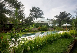Garden 1BR Villa With A Large Pool! - 6Min Drive To The Monkey Forest!