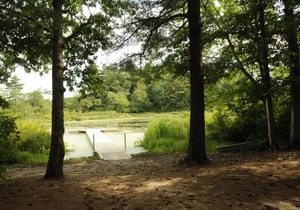 Gateway to Cape Cod Vacation Cottage Two Baths 5
