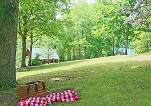 Glamping at Copperhill - `The Kayak`