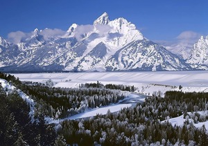 Great Find! 2 Great Accommodations, Near to Attractions, Parking, Pet-Friendly!